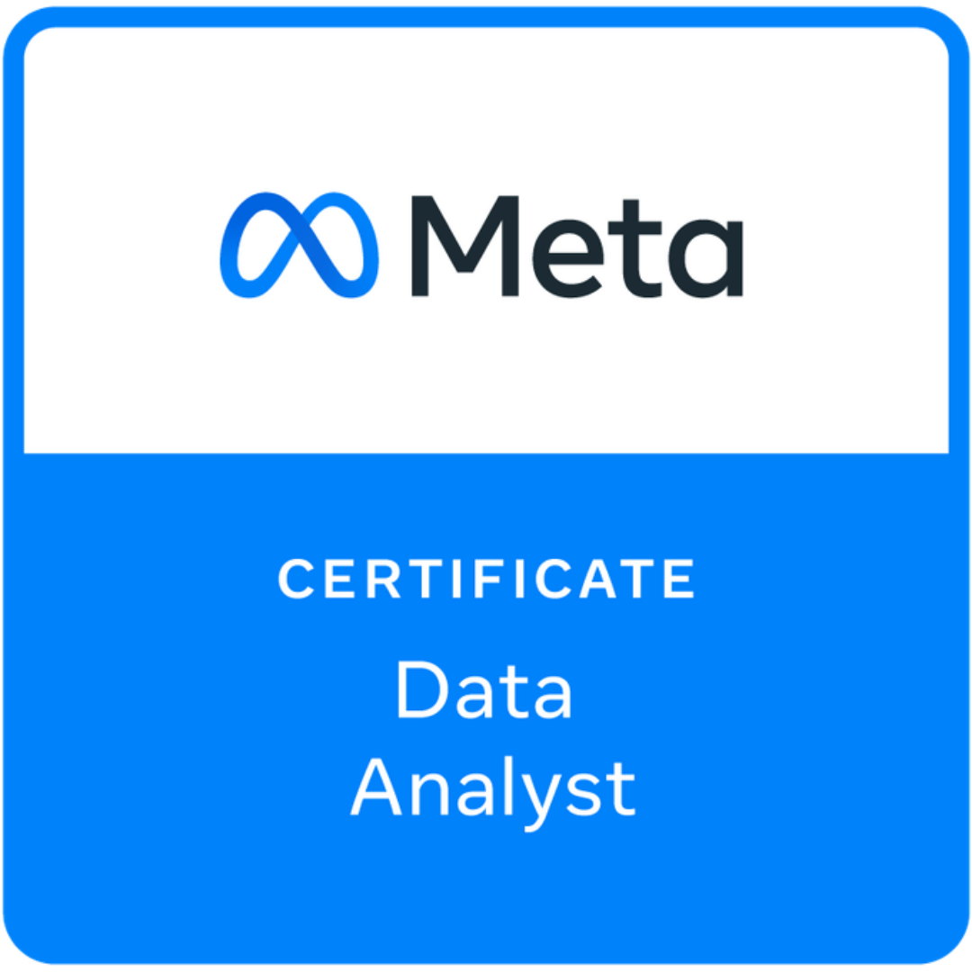 Meta Data Analyst Professional